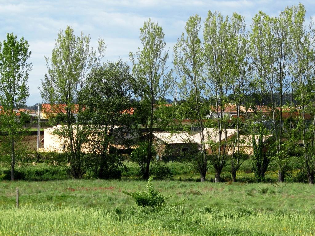 Casa Do Moinho Pensionat Ovar Eksteriør billede